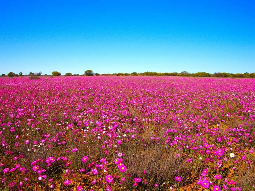 Bill Peach Journeys - Western Australia, Perth, WA