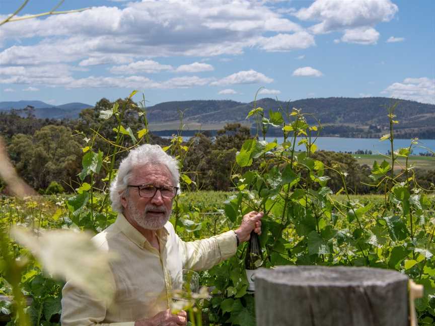 StelaVino - Guided Wine Tours Hobart Tasmania, Hobart, TAS