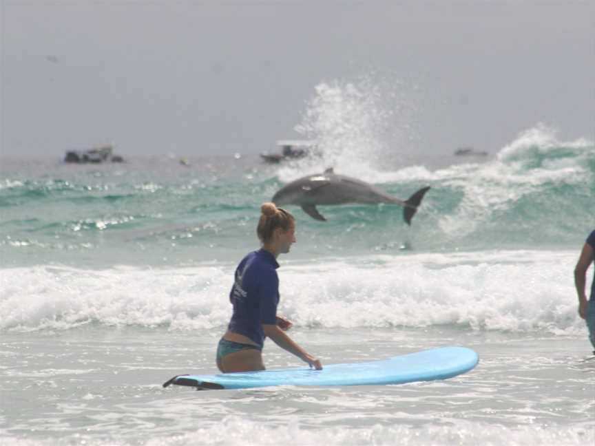 Australian Surfing Adventures, Miami, QLD