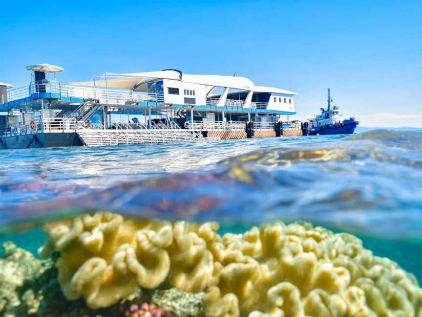 Reef Magic Cruises, Cairns City, QLD