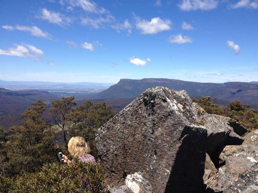 Great Western Tiers Forest Walks Tasmania, Jackeys Marsh, TAS