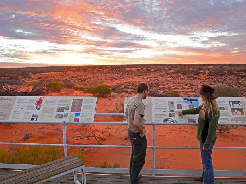 Arid Recovery Sunset Tour, Roxby Downs, SA