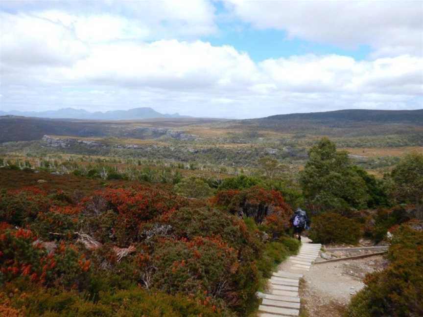 Wild Trek Tours - Tasmania, Hobart, TAS
