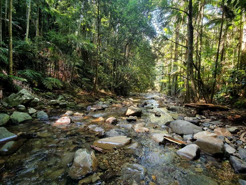 Heartwood Nature Bathing, Annerley, QLD