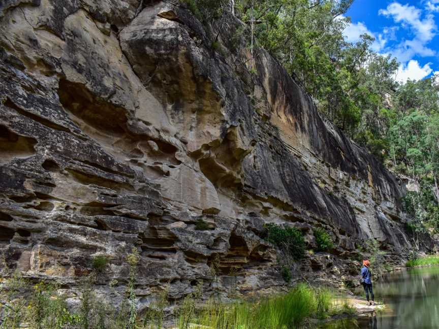 Central Queensland Nature Tours, Carnarvon Gorge, QLD