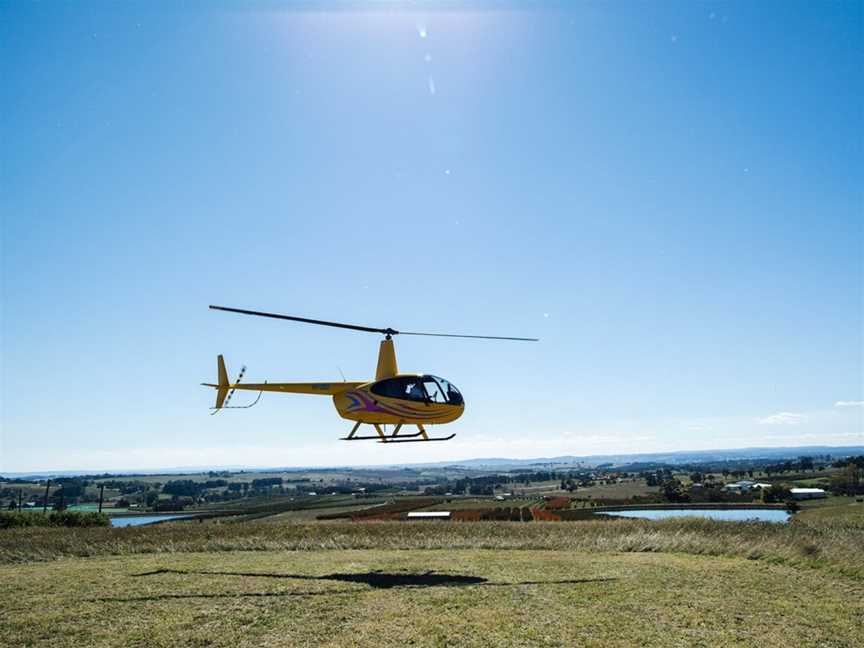 Printhie Wines Helicopter Tour, Nashdale, NSW