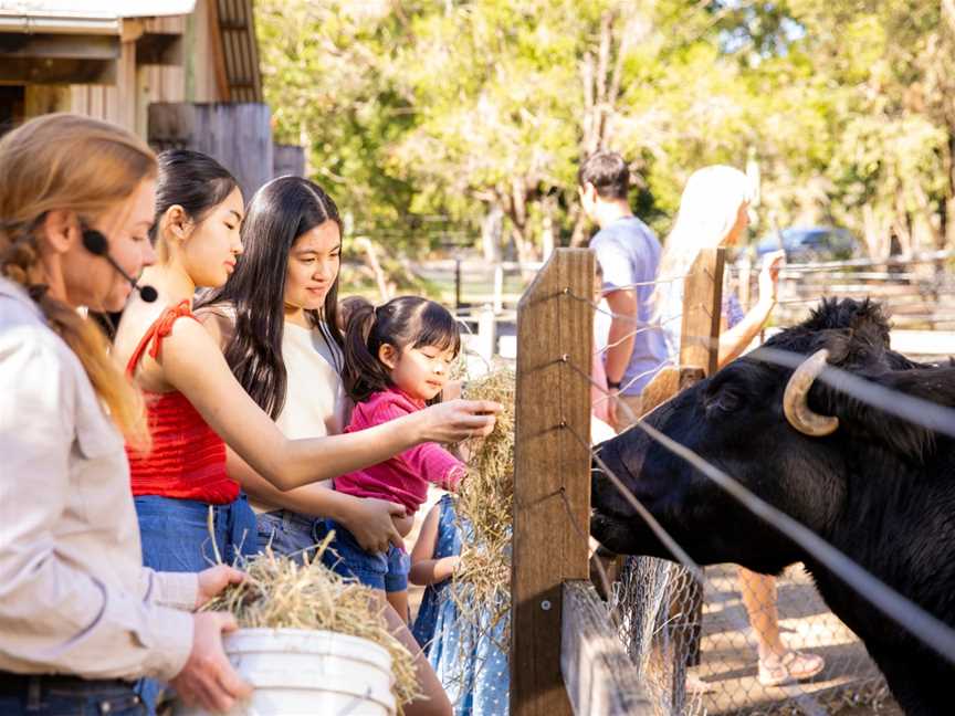 Animal Encounters at Ipswich Nature Centre, Ipswich, QLD