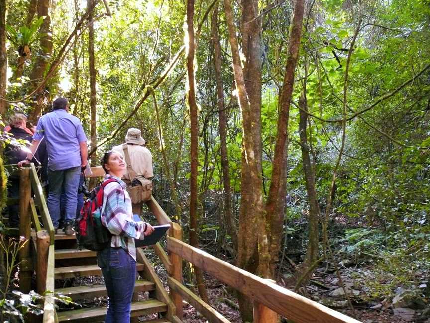 Copeland Hidden Treasures Tours, Copeland, NSW