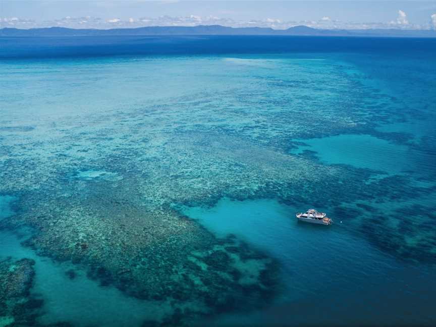 Ocean Freedom - Personal Snorkel & Dive, Cairns City, QLD