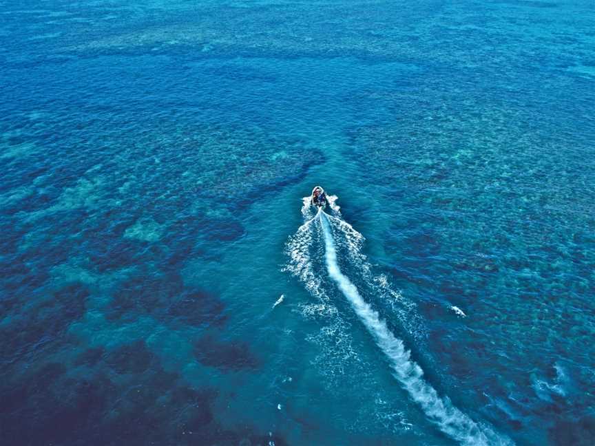 Ocean Freedom - Personal Snorkel & Dive, Cairns City, QLD