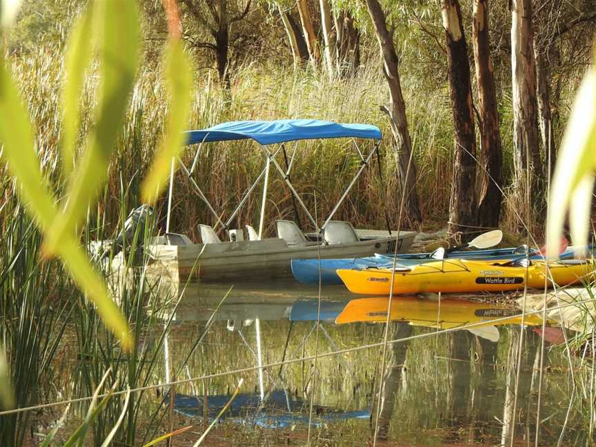 Canoe the Riverland - Dinghy Cruises, Renmark, SA