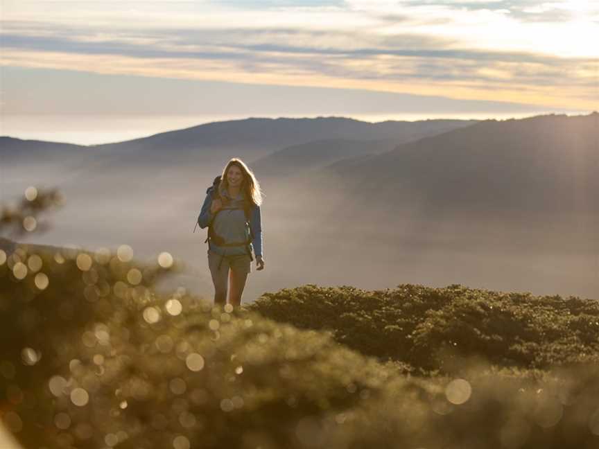 Thredbo Guided Hikes, Thredbo, NSW