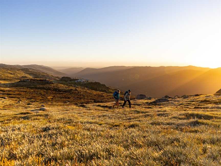 Thredbo Guided Hikes, Thredbo, NSW