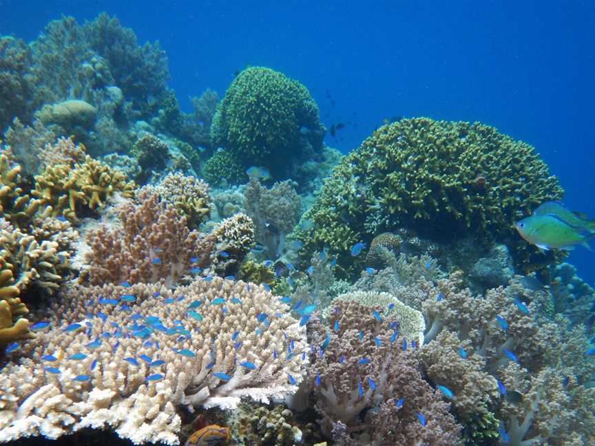 Pilbara Dive and Tours, Pegs Creek, WA