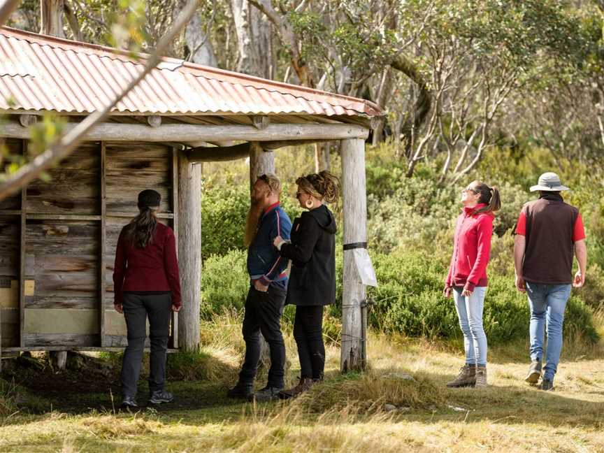 Walk the High Life, Falls Creek, VIC