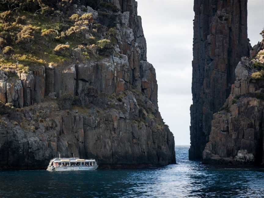 Coral Expeditions - Tasmania, Hobart, TAS