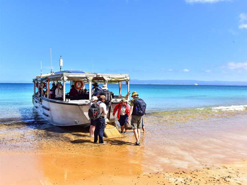 Coral Expeditions - Tasmania, Hobart, TAS