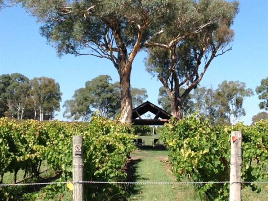 Canberra Winery Tours, Yass, NSW