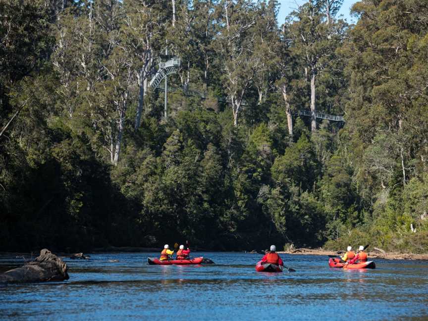 Tahune Adventures - Twin Rivers Adventure, Geeveston, TAS