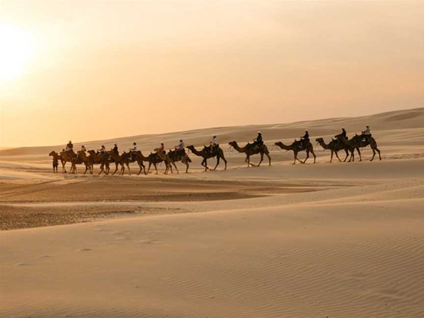 Oakfield Ranch Camel Rides, Anna Bay, NSW