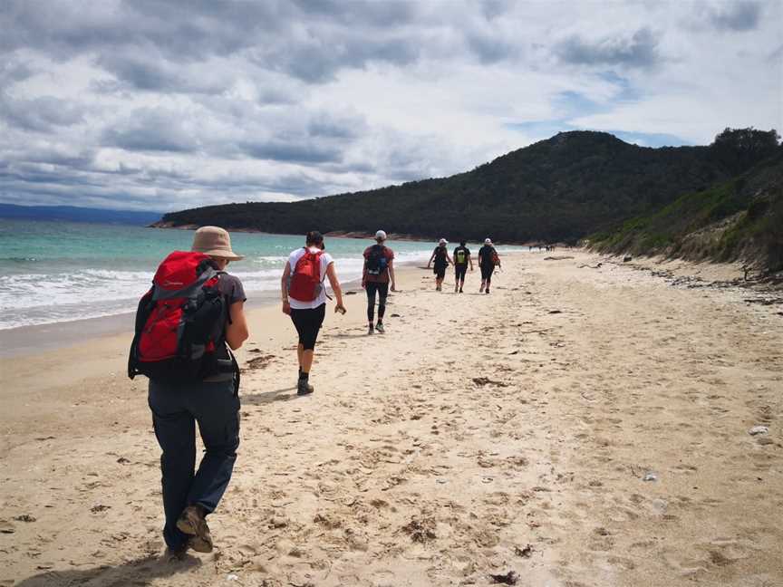 Freycinet & Wineglass Bay Pack-Free Walk - Life's an Adventure, Hobart, TAS