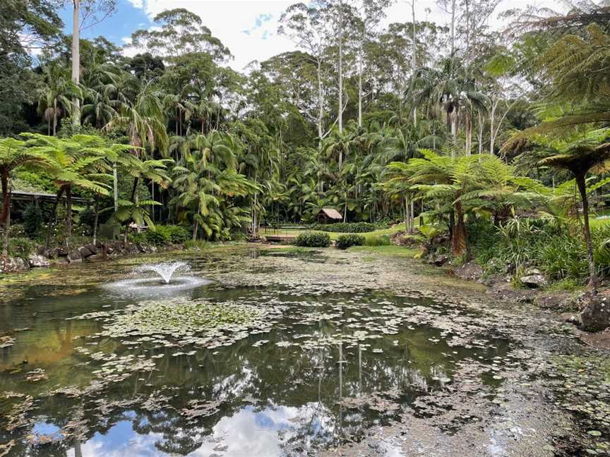 Mount Tamborine - Wildfire Tours, Robina Town Centre, QLD