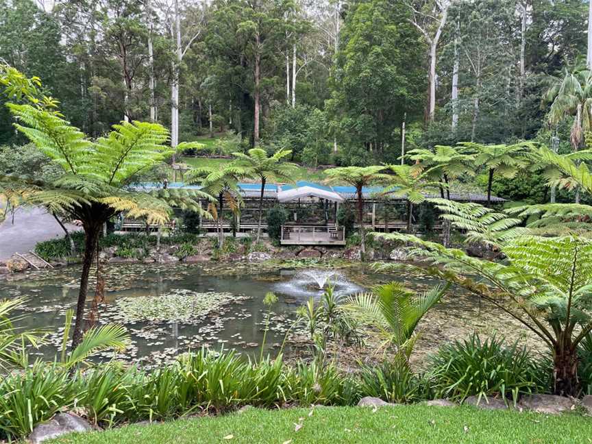 Mount Tamborine - Wildfire Tours, Robina Town Centre, QLD