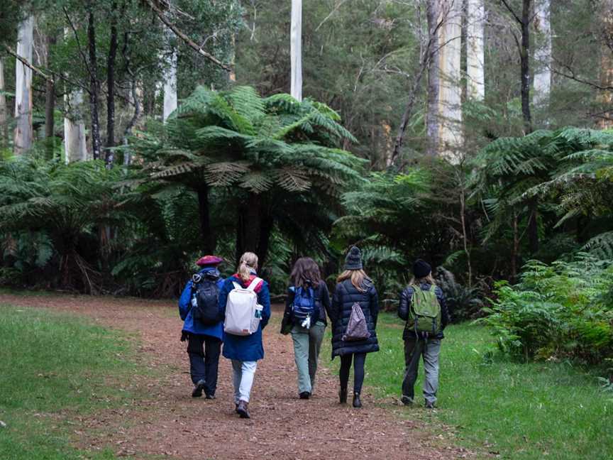 Temple4 Forest Therapy, Donvale, VIC