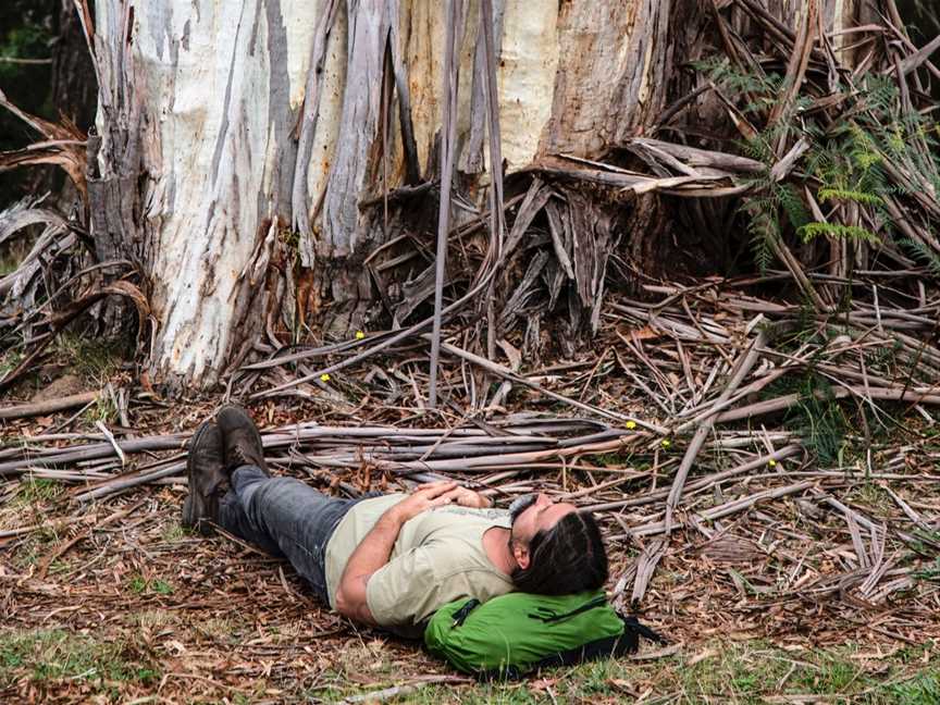 Temple4 Forest Therapy, Donvale, VIC