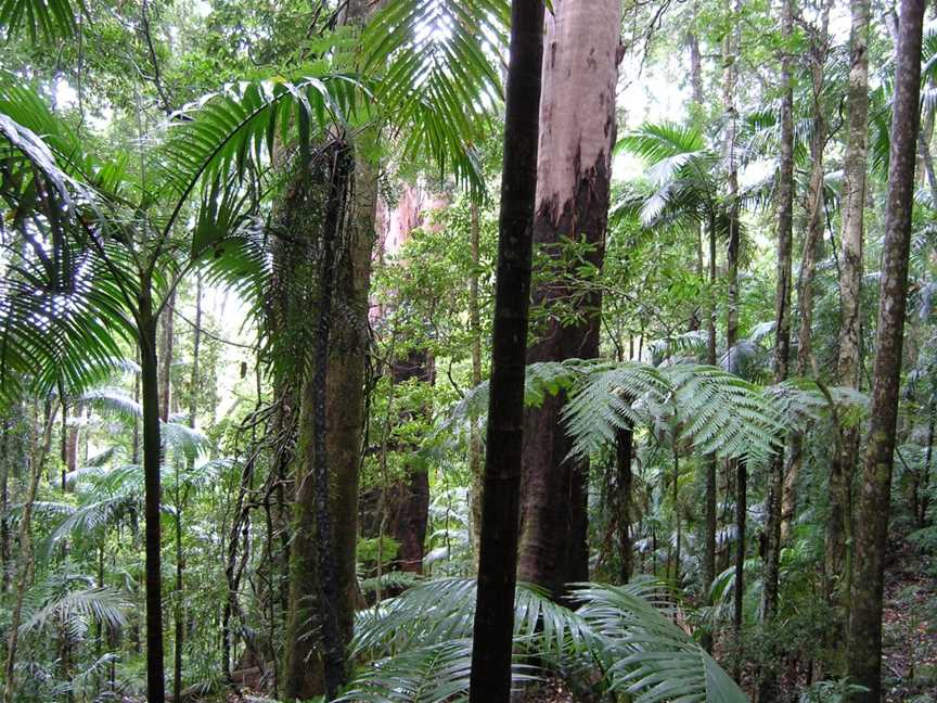 Country Charm Discovery Tour, Bilinga, QLD