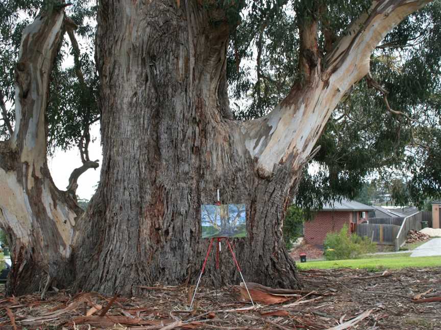 Drouin Self-guided Tree Walks, Drouin, VIC