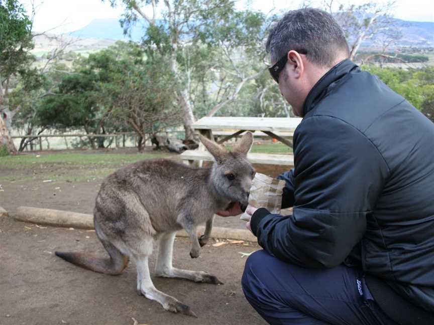 Tours around Tasmania, Hobart, TAS