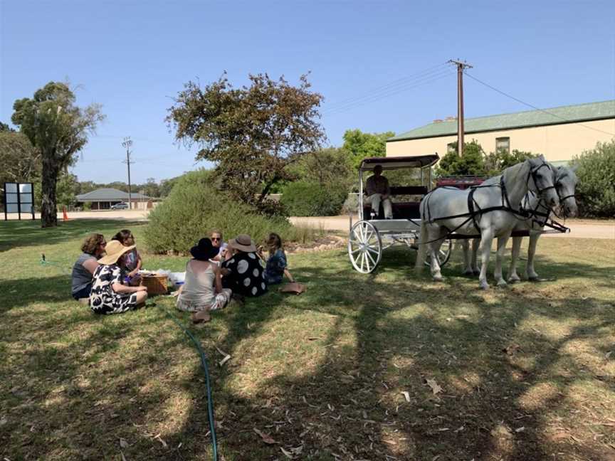 Carriage of Occasion Horse Drawn Wine Tour, Langhorne Creek, SA