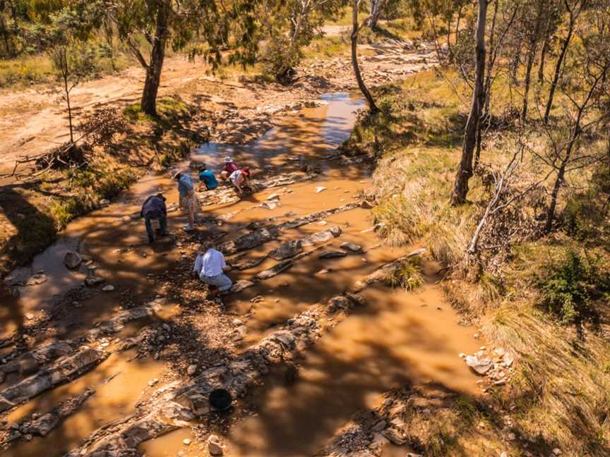 Jhob's Gold Panning Tours, Hill End, NSW