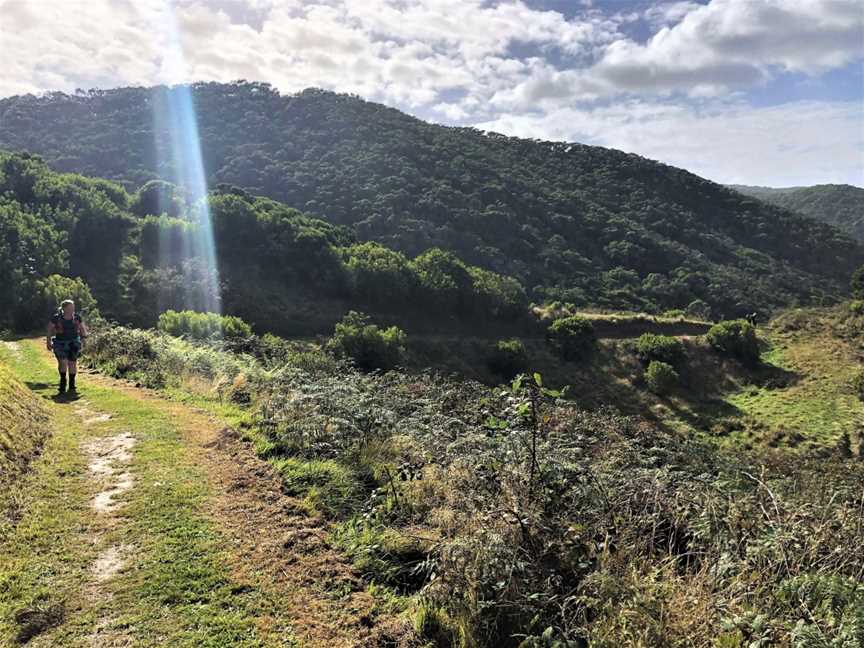 AllTrails Bicycle and Walking Tours - Great Ocean Road, Port Campbell, VIC