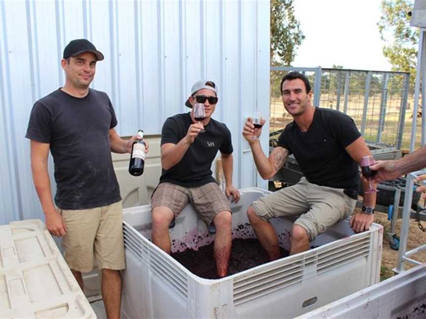 World champion surfer Joel Parkinson and crew stomping grapes on a private charter