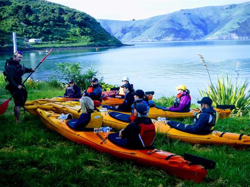 Akaroa Guided Kayak Safari, Akaroa, New Zealand