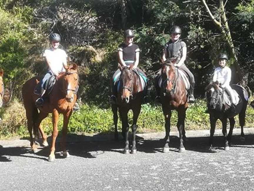 Bannockburn Riding Academy, Pokeno, New Zealand