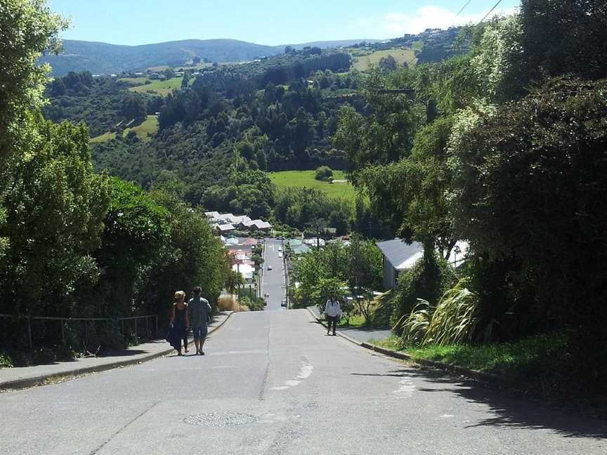 Bookatour - New Zealand Private Tours, Dunedin, New Zealand