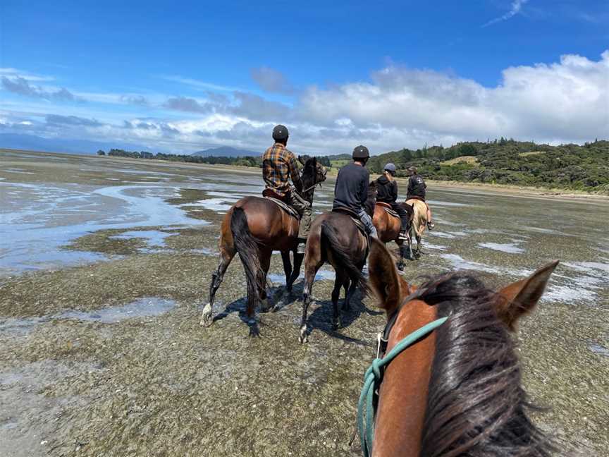 Cape Farewell Horse Treks, Baton, New Zealand