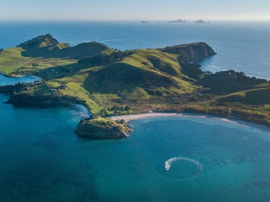 Coromandel Ocean Adventures, Tairua, New Zealand