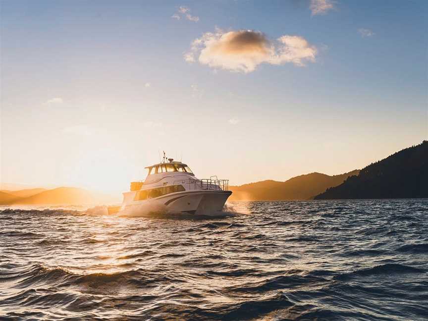 Cougar Line - Queen Charlotte Track Cruises, Picton, New Zealand