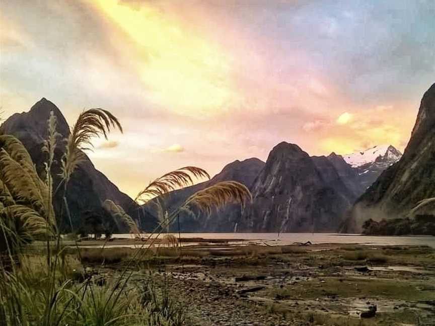 Cruise Milford, The Key, New Zealand