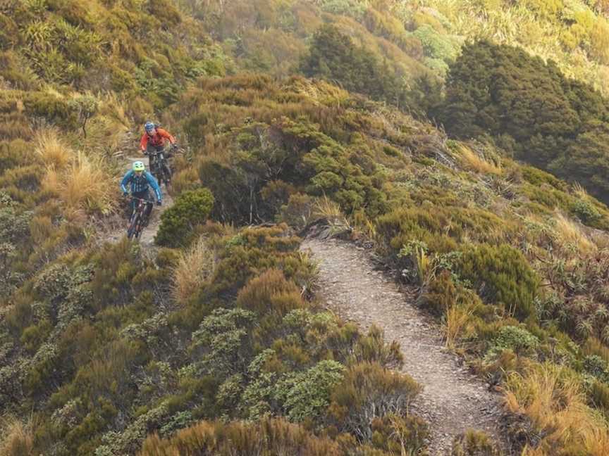 Cycle Journeys, Sydenham, New Zealand