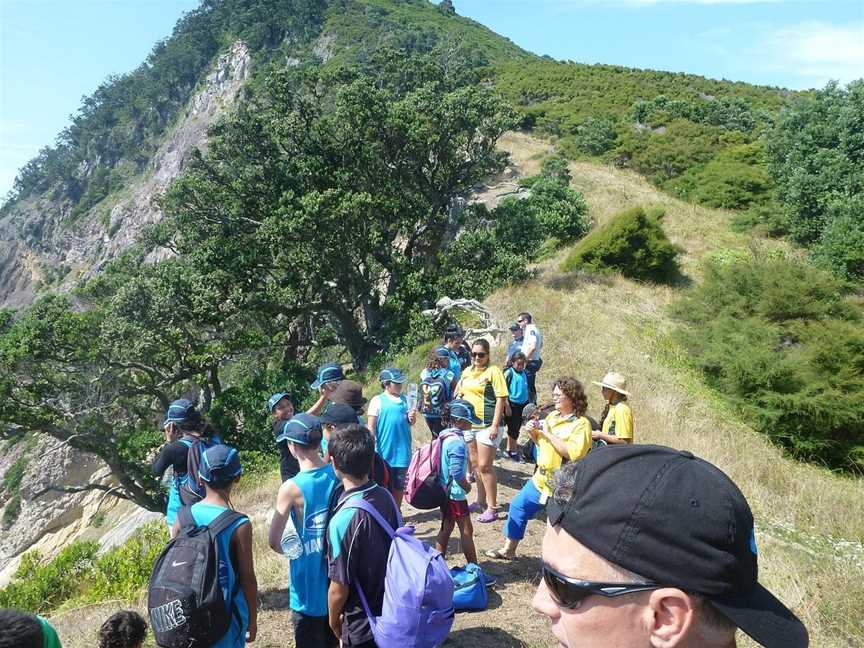 Whale Island Tours, Whakatane, New Zealand