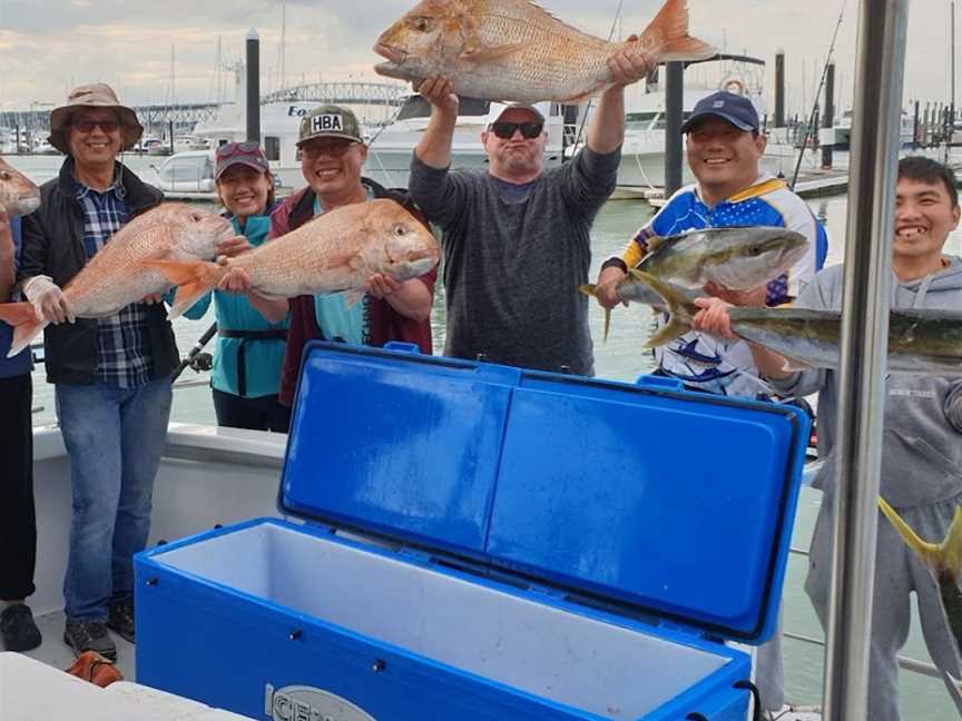 Doctor Hook Fishing Charters, Auckland, New Zealand
