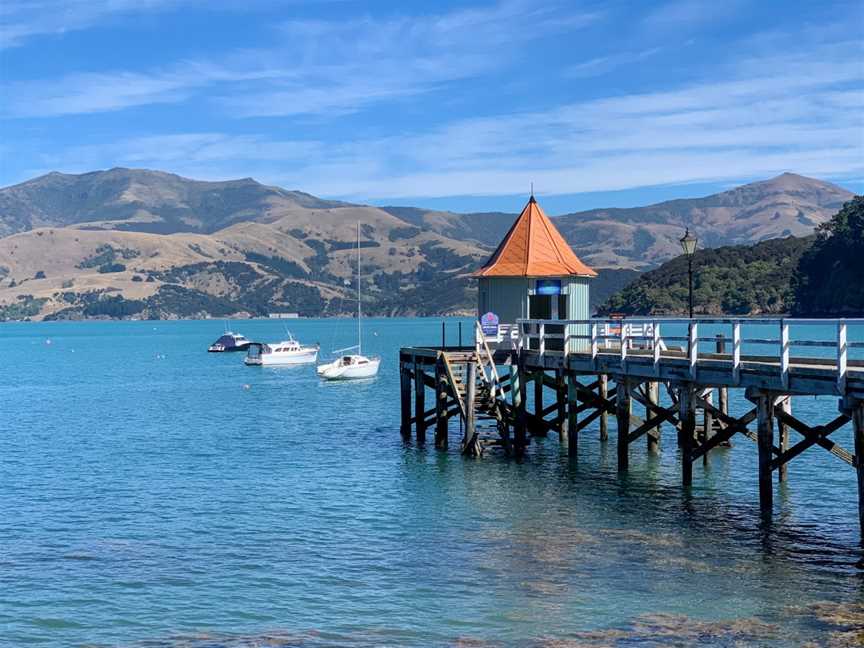 Ecoseaker - Dolphin Swimming & Harbour Adventure Cruises, Akaroa, New Zealand