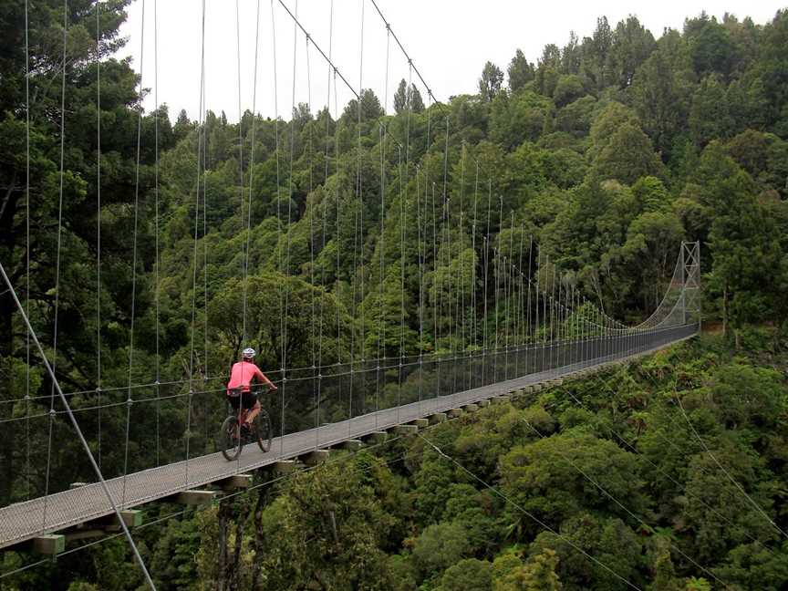 Epic Cycle Adventures, Ongarue, New Zealand