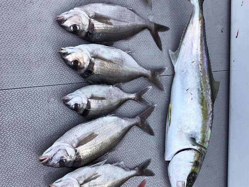 FishOn Charters, Whangamata, New Zealand