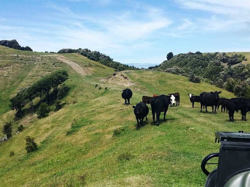 Glenstrae Farm 4 Wheel Adventures, Kaikoura, New Zealand